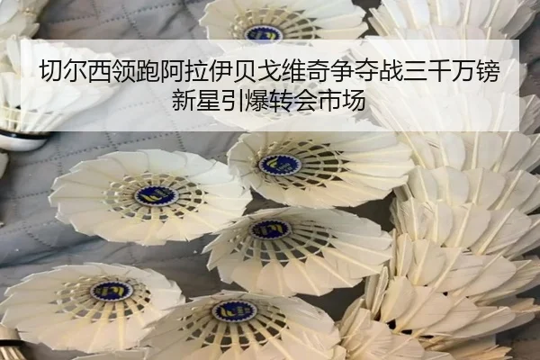 切尔西领跑阿拉伊贝戈维奇争夺战三千万镑新星引爆转会市场